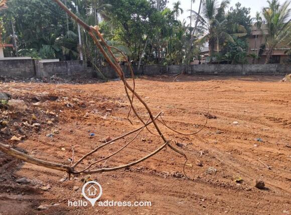 Plot Photo-3