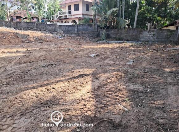 Plot Photo-4