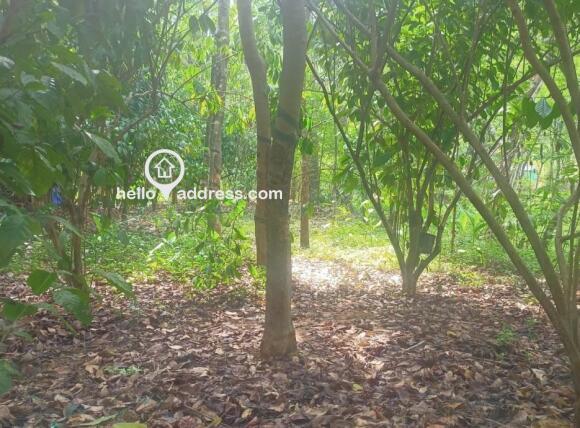 Agricultural Land for Sale
