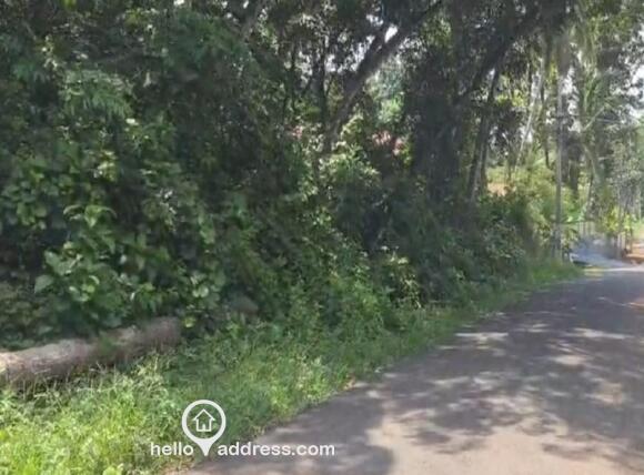 Commercial Land for Sale