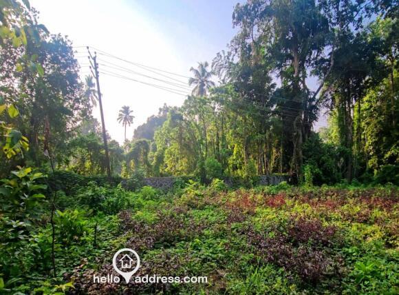 Residential Land for Sale