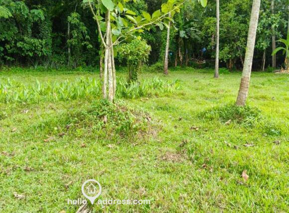 Agricultural Land for Sale