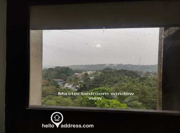 Master bedroom window view