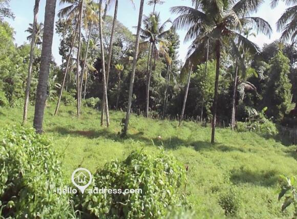 53 cent residential land