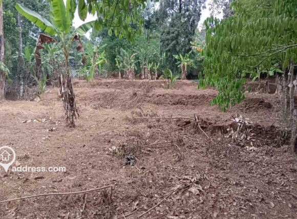 Residential Land for Sale