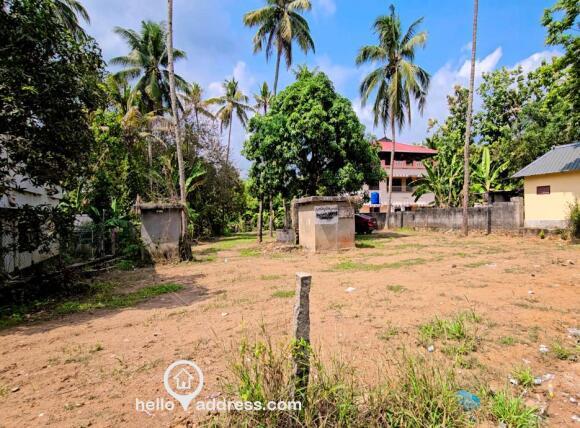 Commercial Land for Sale