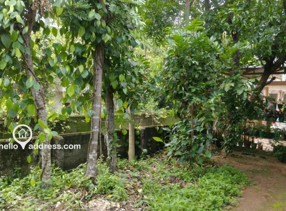 Commercial Land for Sale