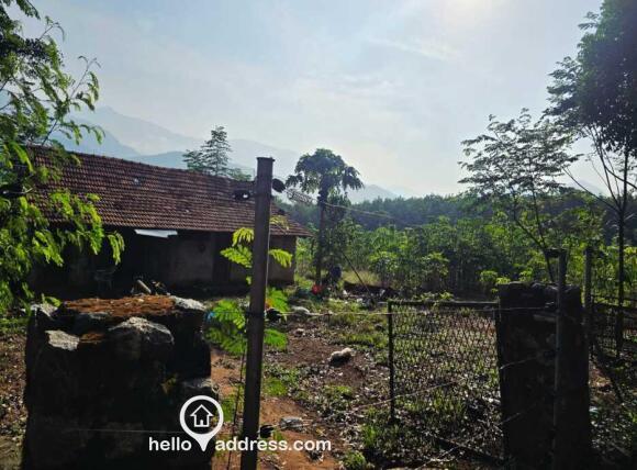 Agricultural Land for Sale