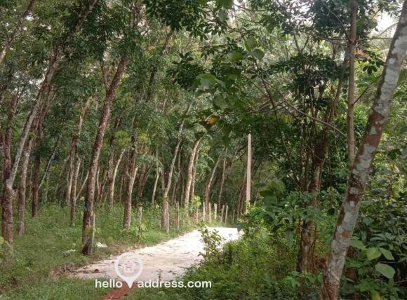 Residential Land for Sale