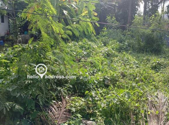 Residential Land for Sale