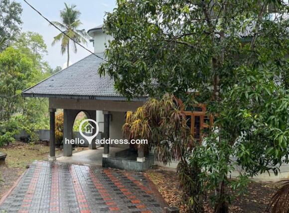 Residential House Villa for Rent