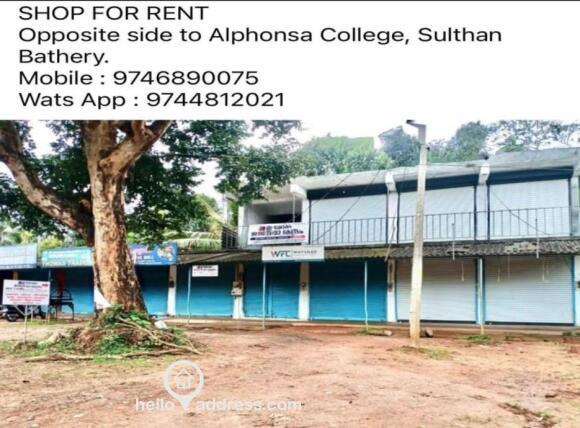 Commercial Shop for Rent