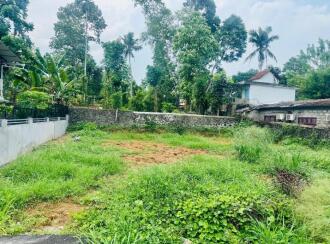 Residential Land for Sale in Pathanamthitta, Thiruvalla, Kumbanad, Kumbanad Junction