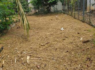 Residential Land for Sale in Wayanad, Kalpetta, Kalpetta, Near ware house