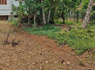 Residential Land for Sale in Wayanad, Kalpetta, Kalpetta, Near ware house