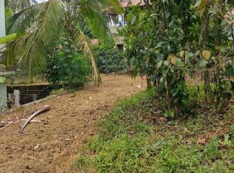 Residential Land for Sale in Wayanad, Kalpetta, Kalpetta, Near ware house