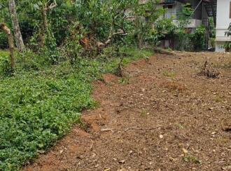 Residential Land for Sale in Wayanad, Kalpetta, Kalpetta, Near ware house