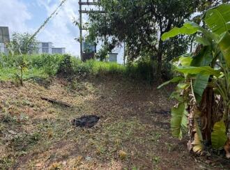 Commercial Building for Sale in Alleppey, Mavelikara, Kollakadavu