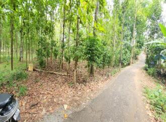 Agricultural Land for Sale in Kottayam, Ettumanoor, Kalathoor, near Kalathoor Church