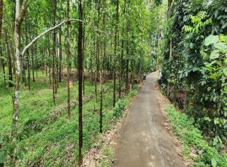 Agricultural Land for Sale in Kottayam, Ettumanoor, Kalathoor, near Kalathoor Church