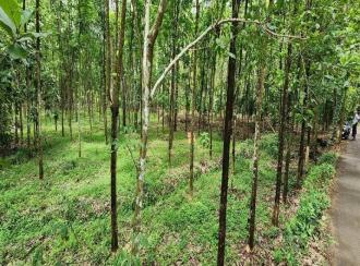 Agricultural Land for Sale in Kottayam, Ettumanoor, Kalathoor, near Kalathoor Church