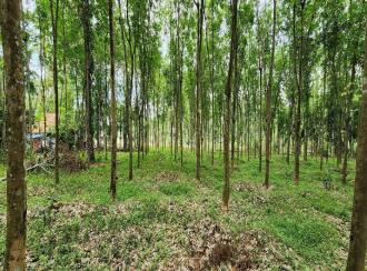 Agricultural Land for Sale in Kottayam, Ettumanoor, Kalathoor, near Kalathoor Church