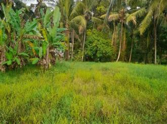Residential Land for Sale in Pathanamthitta, Thiruvalla, Podiyadi, Thiruvalla Podiyadi