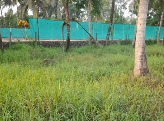 Residential Land for Sale in Pathanamthitta, Thiruvalla, Podiyadi, Thiruvalla Podiyadi