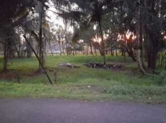 Residential Land for Sale in Pathanamthitta, Thiruvalla, Podiyadi, Thiruvalla Podiyadi