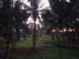 Residential Land for Sale in Pathanamthitta, Thiruvalla, Podiyadi, Thiruvalla Podiyadi