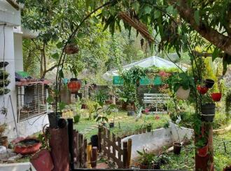 Residential House Villa for Sale in Trivandrum, Thiruvananthapuram, Mannanthala, powdikkonam