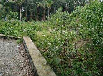 Residential Land for Sale in Trivandrum, Attingal, Kailathukonam, Sree Narayana Gurumadhiram