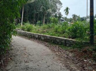 Residential Land for Sale in Trivandrum, Attingal, Kailathukonam, Sree Narayana Gurumadhiram