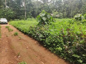 Residential Land for Sale in Kottayam, Pampady, Pampady