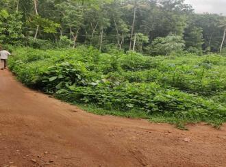 Residential Land for Sale in Kottayam, Pampady, Pampady