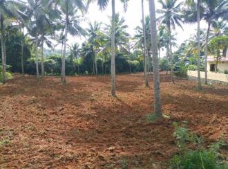Residential Land for Sale in Pathanamthitta, Kozhencherry, Aranmula, Kurichimuttom