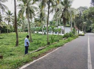 Residential Land for Sale in Pathanamthitta, Kozhencherry, Aranmula, Kurichimuttom