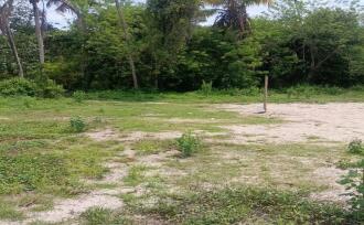 Residential Land for Sale in Alleppey, Mararikulam, Mararikulam, Mararikkulam -Kanichukulangara Road Bus rout
