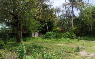 Residential Land for Sale in Alleppey, Mararikulam, Mararikulam, Mararikkulam -Kanichukulangara Road Bus rout