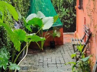 Residential House Villa for Sale in Ernakulam, Kizhakkambalam, Chelakulam, Vengola