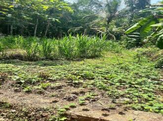വാസയോഗ്യമായ ഭൂമി വില്പനയ്ക്ക് കോട്ടയം, Pala, Valavoor, Pala-ernakulam