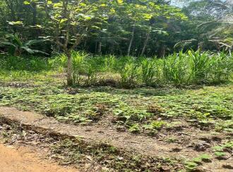 വാസയോഗ്യമായ ഭൂമി വില്പനയ്ക്ക് കോട്ടയം, Pala, Valavoor, Pala-ernakulam