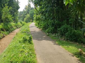 Residential Land for Sale in Thrissur, Kodakara, Kodaly, Puliyanthara