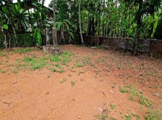 Residential Land for Sale in Kottayam, Changanassery, Thrikkodithanam
