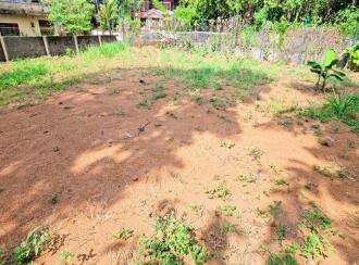 Residential Land for Sale in Kottayam, Changanassery, Thrikkodithanam