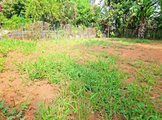 Residential Land for Sale in Kottayam, Changanassery, Thrikkodithanam