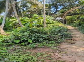 Residential Land for Sale in Kannur, Thalassery, Eranholi, Pullambil road