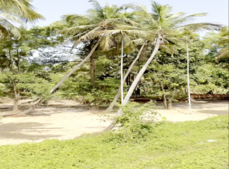 Commercial Land for Sale in Kannur, Edakkad, Edakkad
