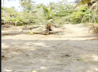 Commercial Land for Sale in Kannur, Edakkad, Edakkad