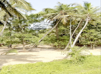 Commercial Land for Sale in Kannur, Edakkad, Edakkad